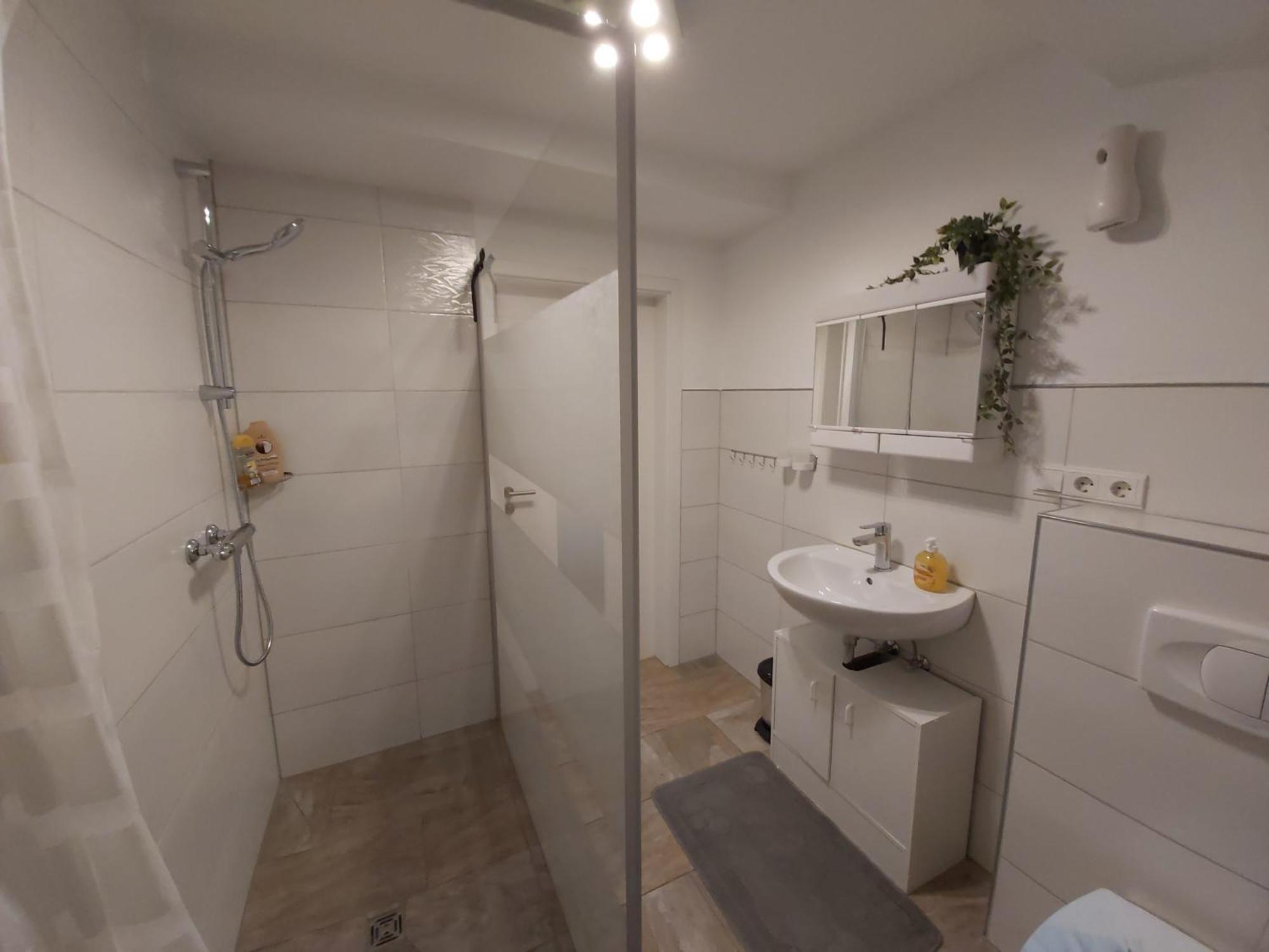 Albi Haus Winterberg Apartment Екстериор снимка
