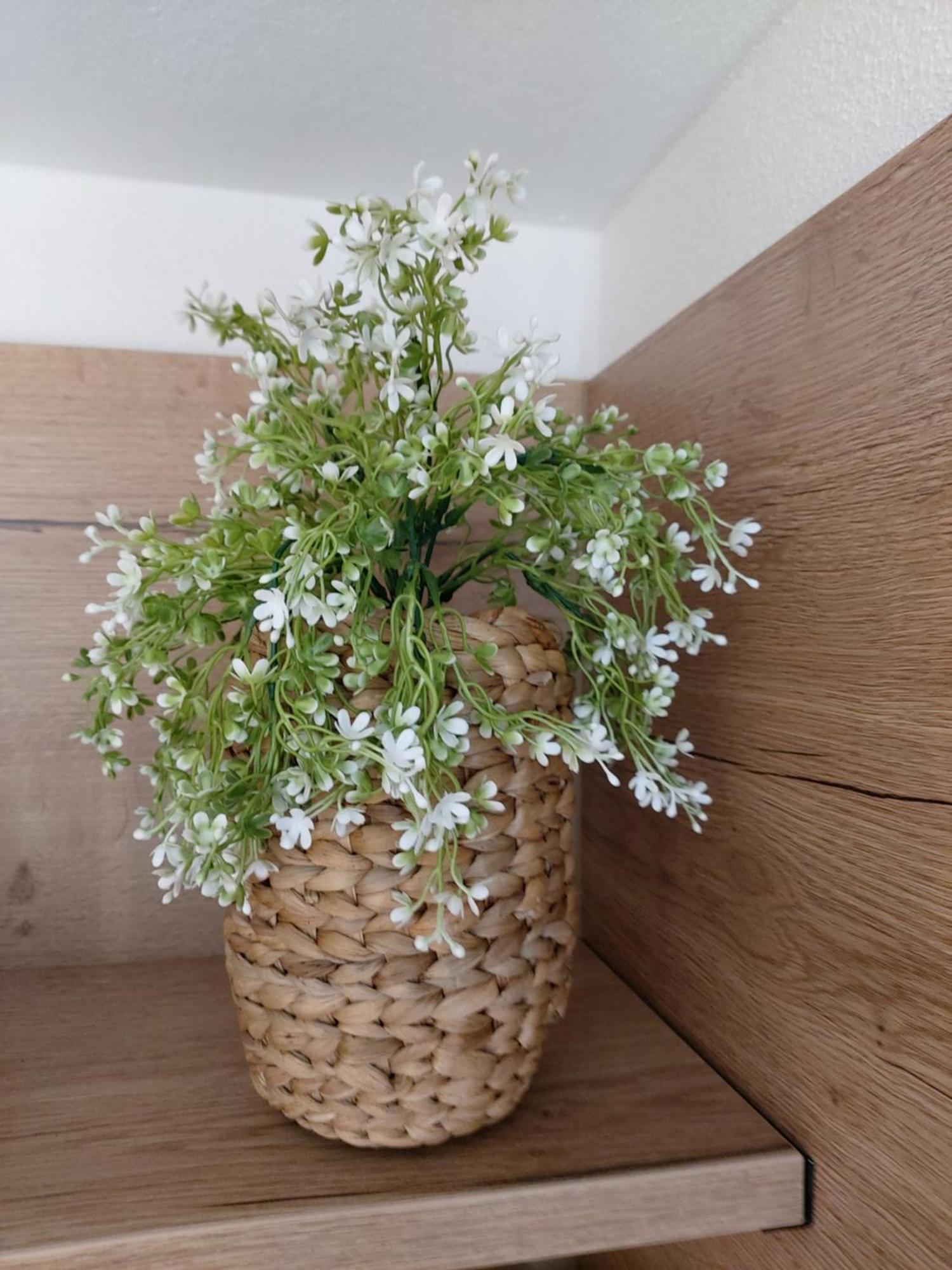Albi Haus Winterberg Apartment Екстериор снимка